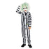 Beetlejuice Costume